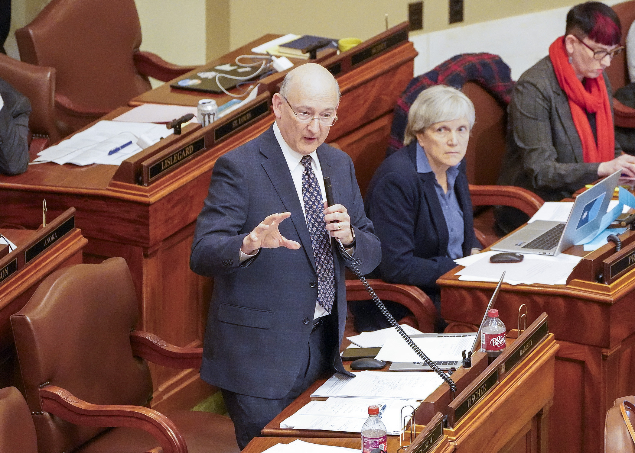 Rep. Peter Fischer discusses an amendment to the human services policy bill on the House Floor April 15. (Photo by Andrew VonBank)